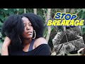 WHY YOUR HAIR NATURAL HAIR IS BREAKING.. FOR REAL | KandidKinks