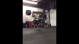 290# bear complex