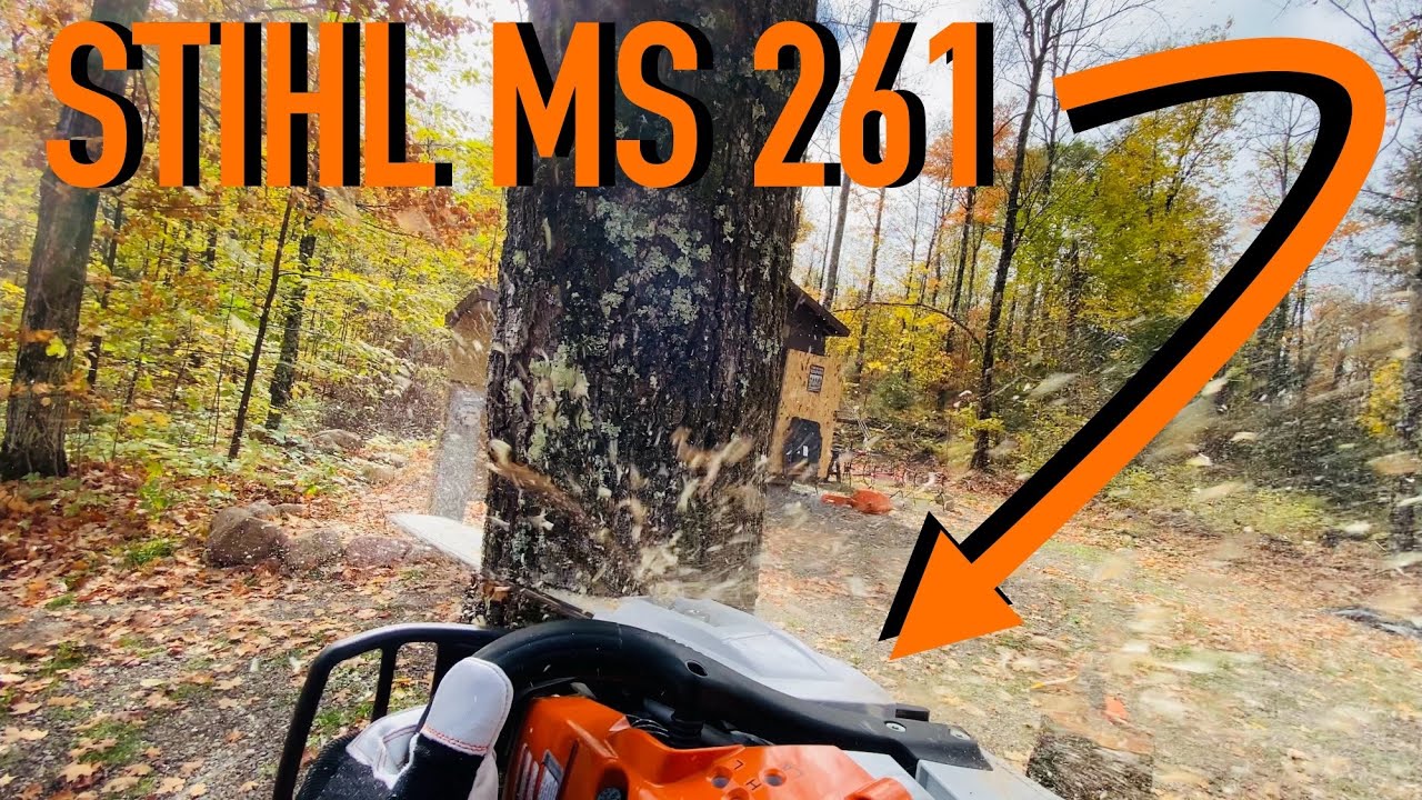 STIHL MS 261 | Cutting Firewood | Tree Removal | Chainsaw - YouTube