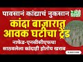 Kanda market today | पावसाने कांदा पिकाचे नुकसान, आवक घटली, कांदा भाव बदलणार?