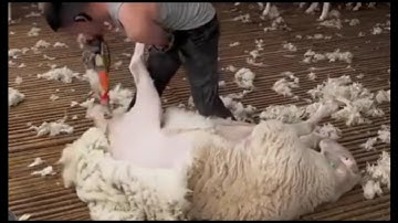 mind blowing machines that are another level #1