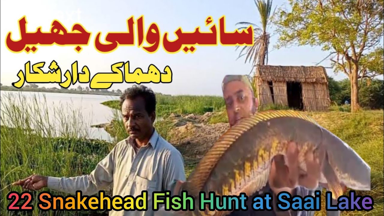 Fishing The Best Saai Lake in Pakistan Sindh | The Best Fishing Trip / Tour | Hunt 22 Snakehead 🐠🐟