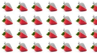 BitterSweet News - Less Quantity, Higher Quality Coming!