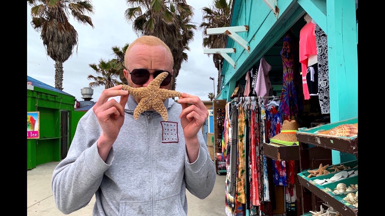 Chat with CK Goldiing in San Diego