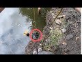Crazy Artefacts Found Magnets Fishing a 400 Year Old Canal *Excavated*