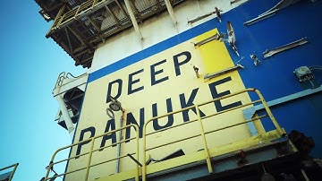 The Deep Panuke story