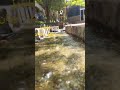 شانديز مشهد ايران