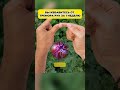Тремор рук проходит за мгновение