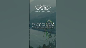 سوره آل عمران آیه 31 32 [تلاوت قرآن] #تلاوت #قرآن #قرآن #ترجمه #سوره