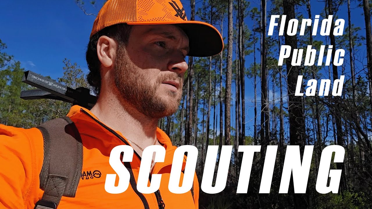 Florida Public Land Whitetail Scouting (What I Learned Fast)