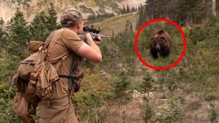 6 Bear Encounters You Should Avoid Clicking On