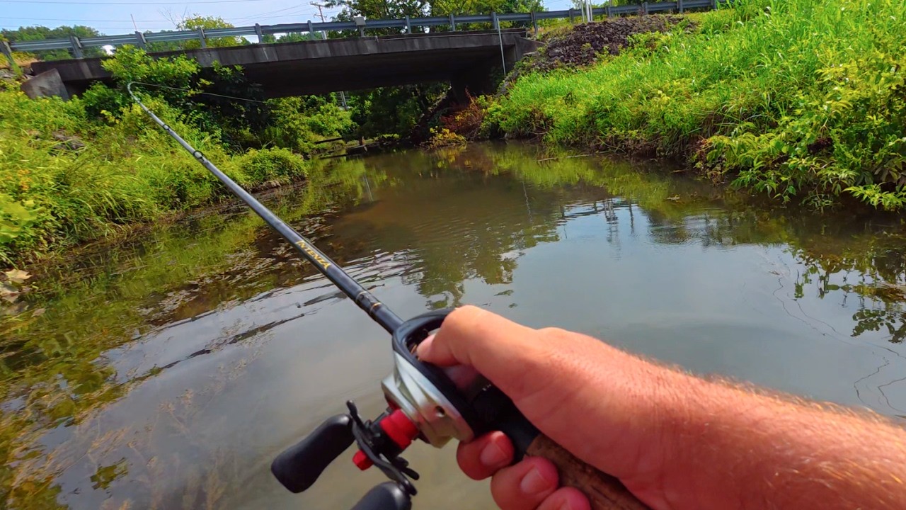 Creek Fishing Adventures