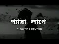 Ek Vondo Meyer Preme Ami Ondho Hoyechi (এক ভন্ড মেয়ের প্রেমে আমি অন্ধ হয়েছি) || Bangla Lofi  Song Mp3 Song