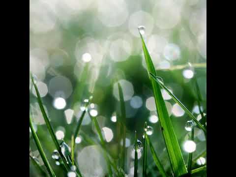 قال انما اشكو بثي وحزني الى الله خاشعة بصوت الشيخ عبدالباسط عبدالصمد 