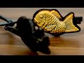 業務用で天然たい焼きに挑戦！Taiyaki. Japanese fish-shaped cake. Japanese Street Food