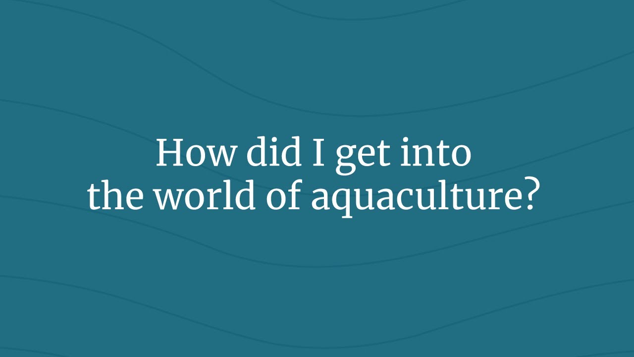 How did I get into the world of aquaculture? 
