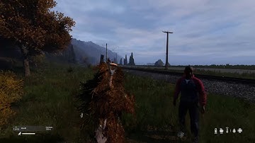 A Strange Encounter (DayZ PS4)