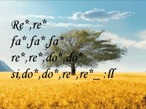 Heal the World   Flauta - YouTube