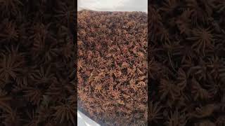 This star-shaped spice is a hidden gem in your kitchen⭐ #shortsfeed#shorts#viral#healthylifestyle#4k