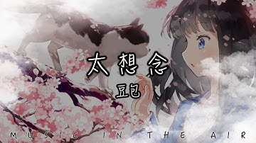 豆包 - 太想念『好比天上風箏斷了線 我對你太想念太想念』【動態歌詞】