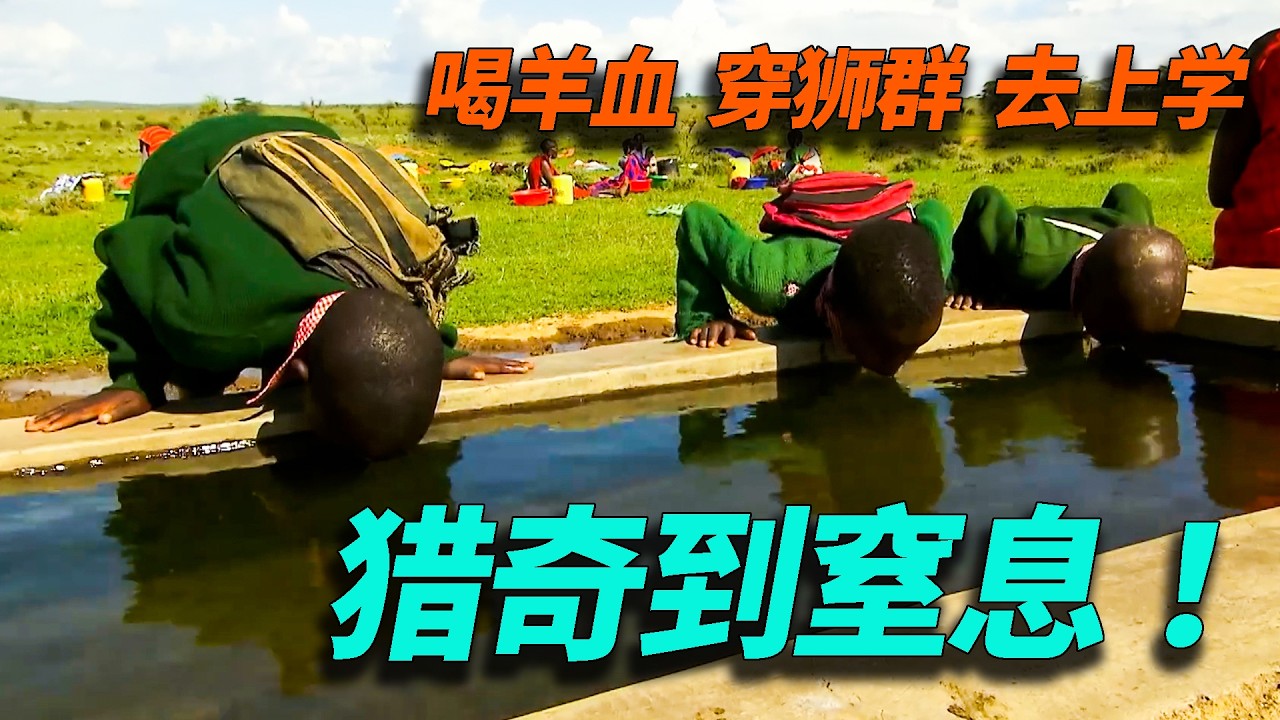 猎奇到窒息！马赛族孩子靠喝牲畜血，撑完在学校的一天！【萬物有光】