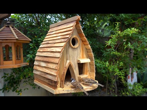 Build Most Amazing Bird House and Bird