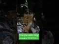 डबल डाई पत्तल दोने की मशीन 9358711004