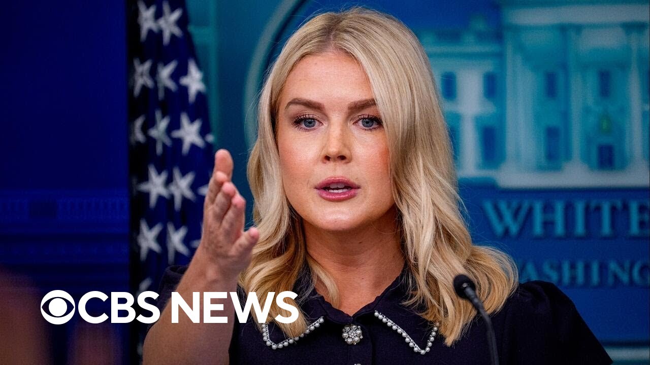 White House press secretary takes questions on homeless in D.C., federal takeover of city's police