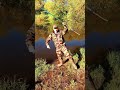 МУТУШКА ЗЕМЛЯ #shorts