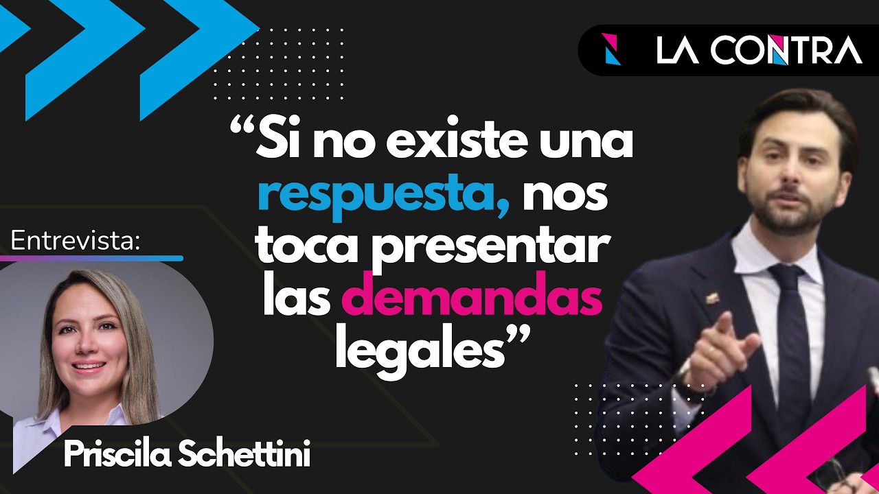 📌PRISCILA SCHETTINI: 