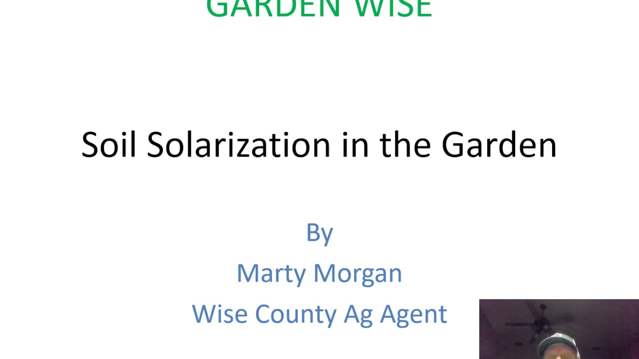 GARDEN'WISE Soil Solarization Presentation - YouTube