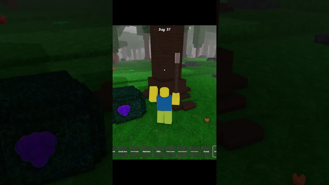 What Happens When You Get The Admin Axe In Roblox?