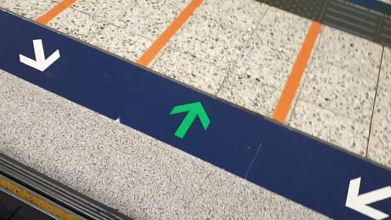 (再試西行鑽起13x代替大修C而出現綠M) MTR KTL M-Train A235/A228 (B433) DIH → SKM