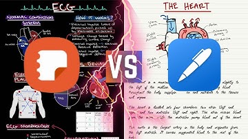Samsung Notes VS Noteshelf | Samsung Tab S7+ Note Taking Comparison