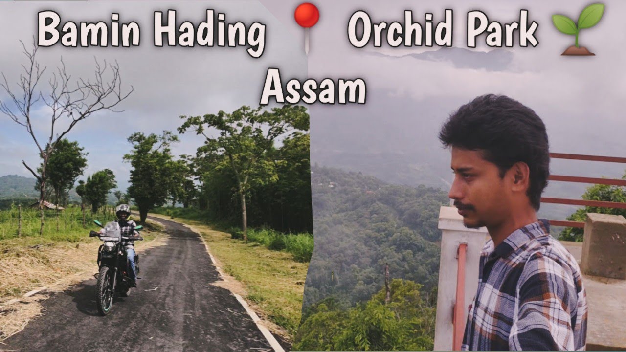 Bamin Hading📍Orchid Park 🌱 (Assam)