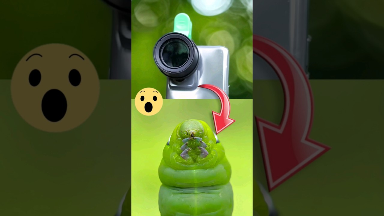 Prosumer Nikon L810 Macro Lens for Smartphone