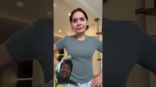 #cat #funny #funnycats #cutecat #cats #munchkinfold #funnyanimal #comedy #funnycat #tricolourfla