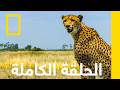 ألعاب الحرب | المملكة المتوحشة | ناشونال جيوغرافيك أبوظبي
