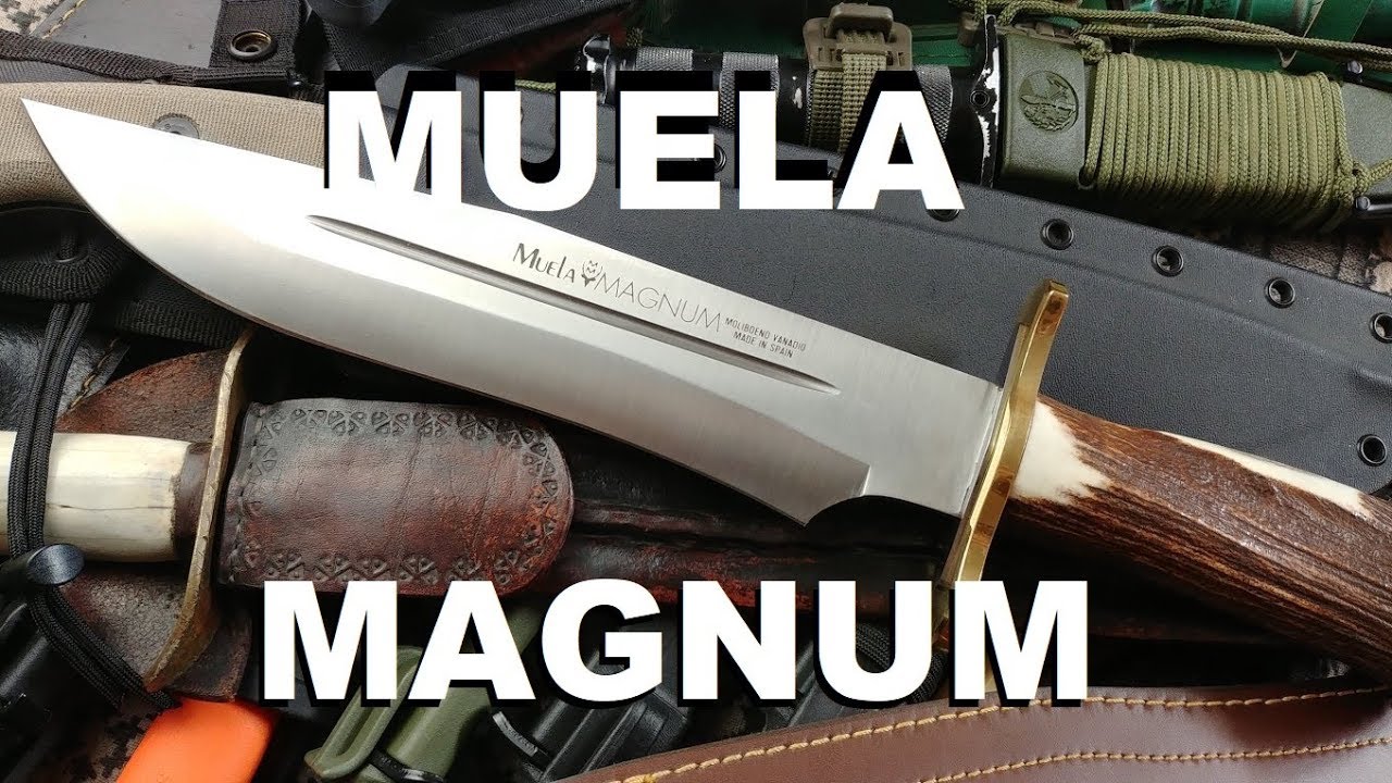 CUCHILLO MUELA GAVILAN Y OTROS DOS MÁS 