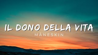 Måneskin - IL DONO DELLA VITA (Lyrics) Resimi