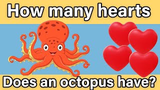 Test your GK - How many hearts does an octopus have - Quiztion