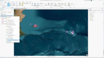 Create a custom coordinate system in ArcGIS Pro