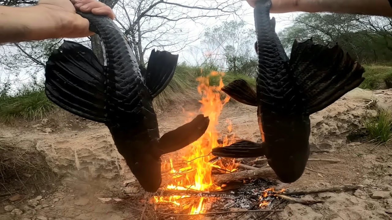 ATRAPE Y COCINE peces estilo PRIMITIVO, 