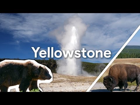 Vidéo: Activité De Yellowstone En Juin - Vue Alternative