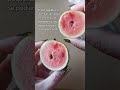 Sandías del tamaño de manzanas