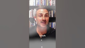 Core Lessons Learned from Meow Wolf