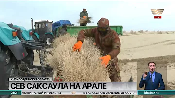 В Кызылординской области начался весенний сев саксаула