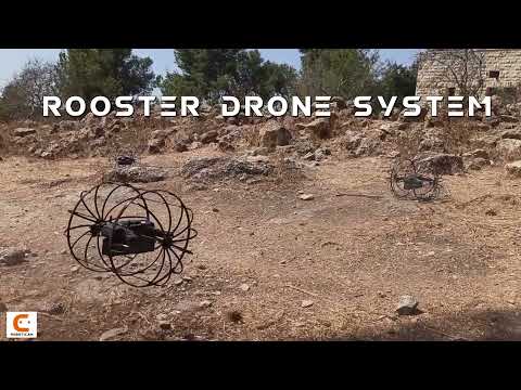 ROOSTER  System Abilities