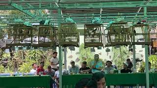 Trực Tiếp Giải Đt 1 2Tr Clb Vườn Tràm Long An