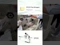 Flow Wrapping ZP320 | Fast &amp; Reliable Packaging 🚀 #machine #flowwrappingmachine
